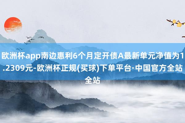 欧洲杯app南边惠利6个月定开债A最新单元净值为1.2309元-欧洲杯正规(买球)下单平台·中国官方全站