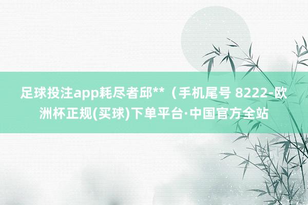 足球投注app耗尽者邱**（手机尾号 8222-欧洲杯正规(买球)下单平台·中国官方全站