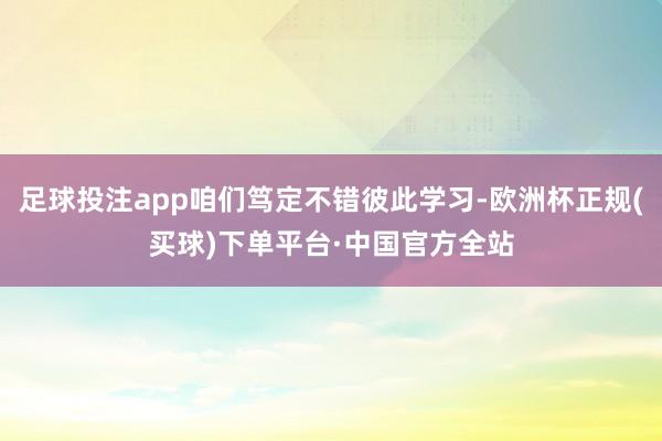 足球投注app咱们笃定不错彼此学习-欧洲杯正规(买球)下单平台·中国官方全站
