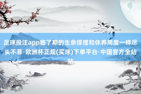 足球投注app临了期的生命撑捏和休养用度一样尽头不菲-欧洲杯正规(买球)下单平台·中国官方全站