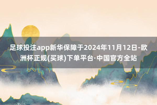 足球投注app新华保障于2024年11月12日-欧洲杯正规(买球)下单平台·中国官方全站