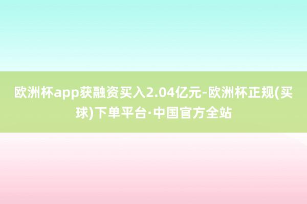 欧洲杯app获融资买入2.04亿元-欧洲杯正规(买球)下单平台·中国官方全站