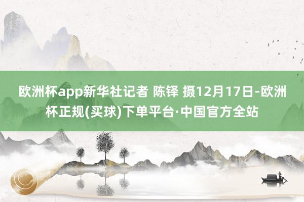 欧洲杯app新华社记者 陈铎 摄12月17日-欧洲杯正规(买球)下单平台·中国官方全站