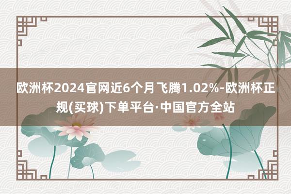 欧洲杯2024官网近6个月飞腾1.02%-欧洲杯正规(买球)下单平台·中国官方全站