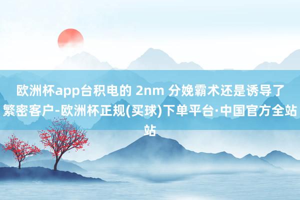 欧洲杯app台积电的 2nm 分娩霸术还是诱导了繁密客户-欧洲杯正规(买球)下单平台·中国官方全站