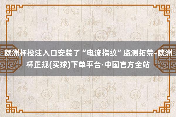 欧洲杯投注入口安装了“电流指纹”监测拓荒-欧洲杯正规(买球)下单平台·中国官方全站