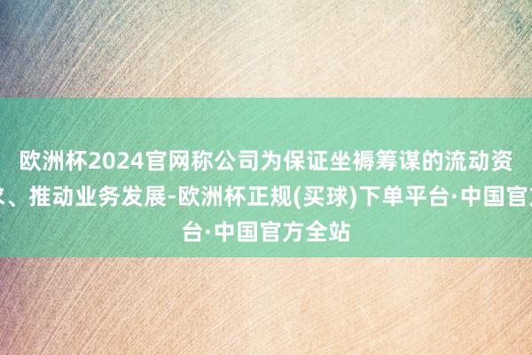 欧洲杯2024官网称公司为保证坐褥筹谋的流动资金需求、推动业务发展-欧洲杯正规(买球)下单平台·中国官方全站