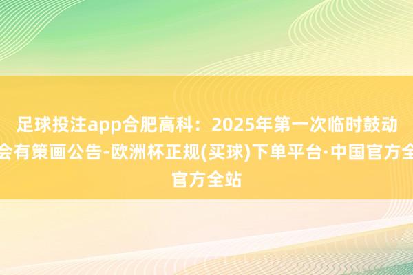 足球投注app合肥高科：2025年第一次临时鼓动大会有策画公告-欧洲杯正规(买球)下单平台·中国官方全站