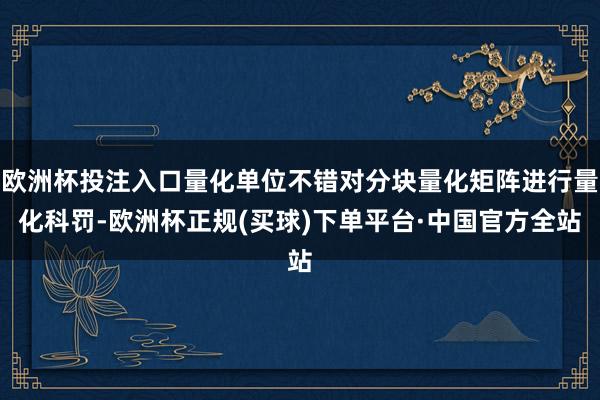 欧洲杯投注入口量化单位不错对分块量化矩阵进行量化科罚-欧洲杯正规(买球)下单平台·中国官方全站