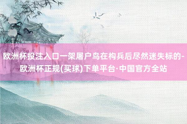 欧洲杯投注入口一架屠户鸟在构兵后尽然迷失标的-欧洲杯正规(买球)下单平台·中国官方全站