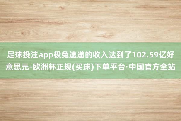足球投注app极兔速递的收入达到了102.59亿好意思元-欧洲杯正规(买球)下单平台·中国官方全站