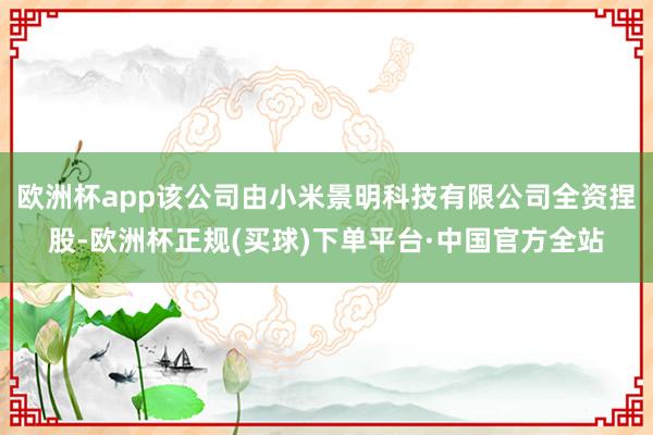 欧洲杯app该公司由小米景明科技有限公司全资捏股-欧洲杯正规(买球)下单平台·中国官方全站