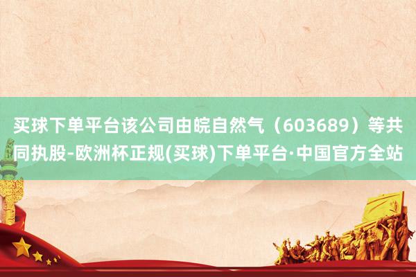 买球下单平台该公司由皖自然气（603689）等共同执股-欧洲杯正规(买球)下单平台·中国官方全站