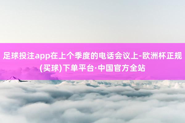 足球投注app在上个季度的电话会议上-欧洲杯正规(买球)下单平台·中国官方全站
