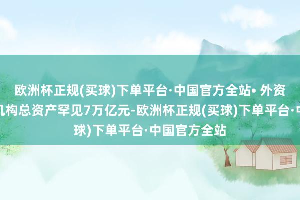 欧洲杯正规(买球)下单平台·中国官方全站• 外资银行和保障机构总资产罕见7万亿元-欧洲杯正规(买球)下单平台·中国官方全站