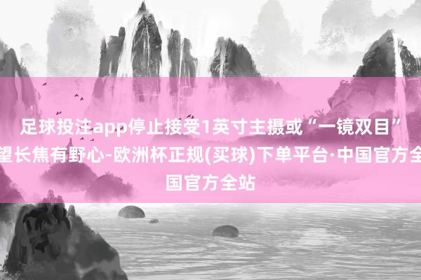 足球投注app停止接受1英寸主摄或“一镜双目”潜望长焦有野心-欧洲杯正规(买球)下单平台·中国官方全站