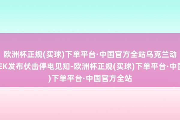 欧洲杯正规(买球)下单平台·中国官方全站乌克兰动力公司DTEK发布伏击停电见知-欧洲杯正规(买球)下单平台·中国官方全站