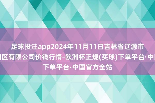 足球投注app2024年11月11日吉林省辽源市仙城物流园区有限公司价钱行情-欧洲杯正规(买球)下单平台·中国官方全站