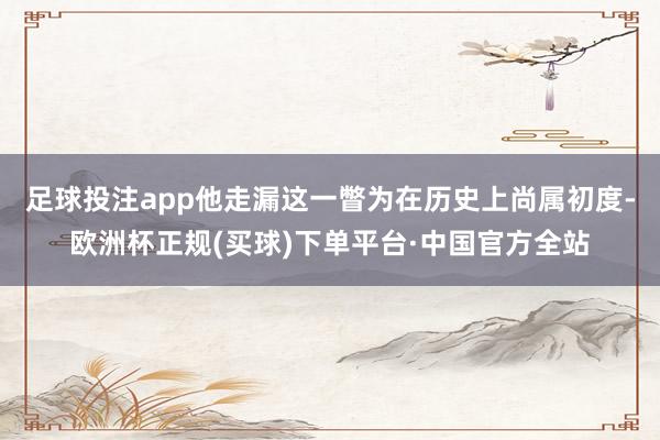 足球投注app他走漏这一瞥为在历史上尚属初度-欧洲杯正规(买球)下单平台·中国官方全站