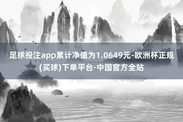 足球投注app累计净值为1.0649元-欧洲杯正规(买球)下单平台·中国官方全站