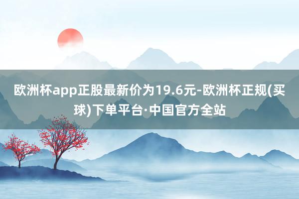 欧洲杯app正股最新价为19.6元-欧洲杯正规(买球)下单平台·中国官方全站