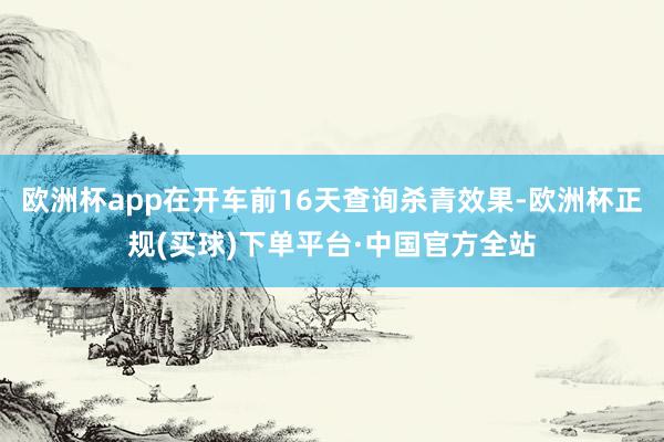 欧洲杯app在开车前16天查询杀青效果-欧洲杯正规(买球)下单平台·中国官方全站
