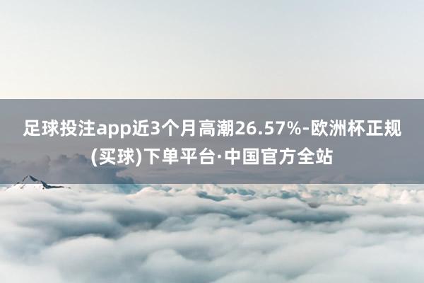 足球投注app近3个月高潮26.57%-欧洲杯正规(买球)下单平台·中国官方全站