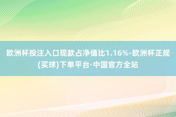 欧洲杯投注入口现款占净值比1.16%-欧洲杯正规(买球)下单平台·中国官方全站