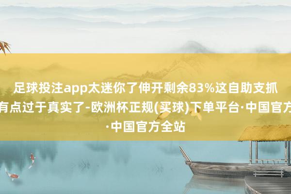 足球投注app太迷你了伸开剩余83%这自助支抓系统有点过于真实了-欧洲杯正规(买球)下单平台·中国官方全站