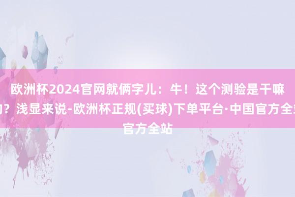 欧洲杯2024官网就俩字儿：牛！这个测验是干嘛的？浅显来说-欧洲杯正规(买球)下单平台·中国官方全站