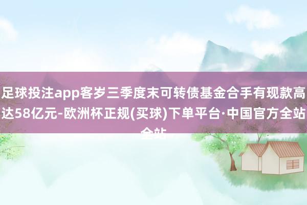 足球投注app客岁三季度末可转债基金合手有现款高达58亿元-欧洲杯正规(买球)下单平台·中国官方全站