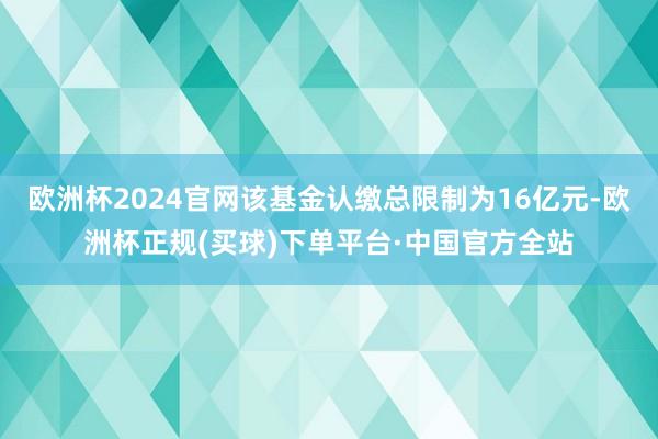欧洲杯2024官网该基金认缴总限制为16亿元-欧洲杯正规(买球)下单平台·中国官方全站